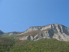 Nuée de parapentes 12